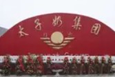 绣美湖南之当“有效投资”的制度基础崩塌：太子奶悲剧的营商环境审视